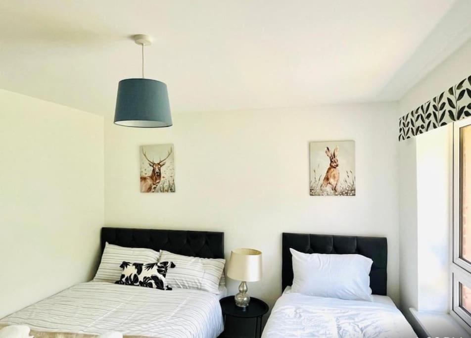 Ashford Retreat - Luxury Home With Double Parking Esterno foto