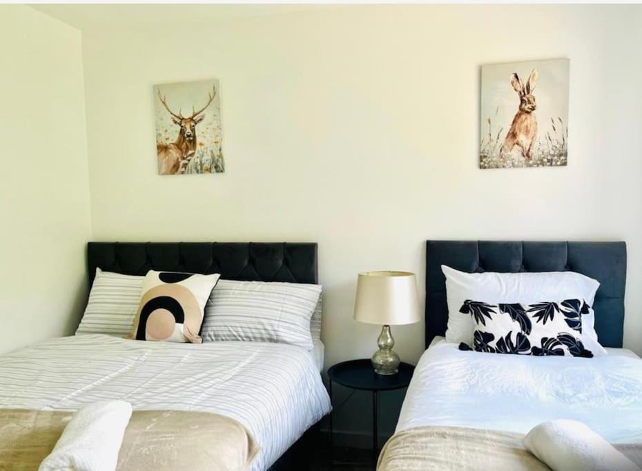 Ashford Retreat - Luxury Home With Double Parking Esterno foto